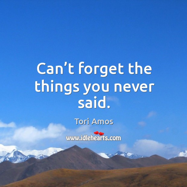 Can’t forget the things you never said. Tori Amos Picture Quote