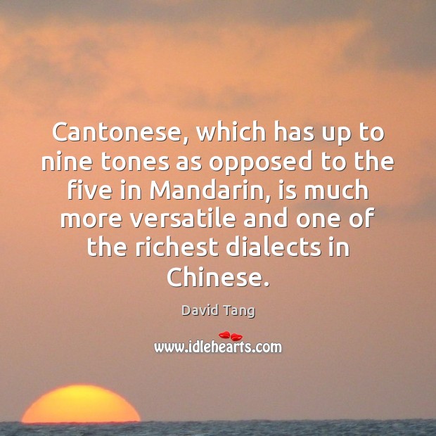 Cantonese, which has up to nine tones as opposed to the five David Tang Picture Quote