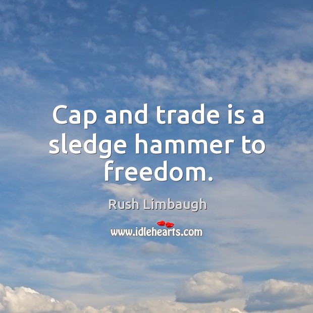 Cap and trade is a sledge hammer to freedom. Image