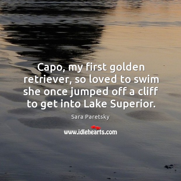 Capo, my first golden retriever, so loved to swim she once jumped off a cliff to get into lake superior. Image