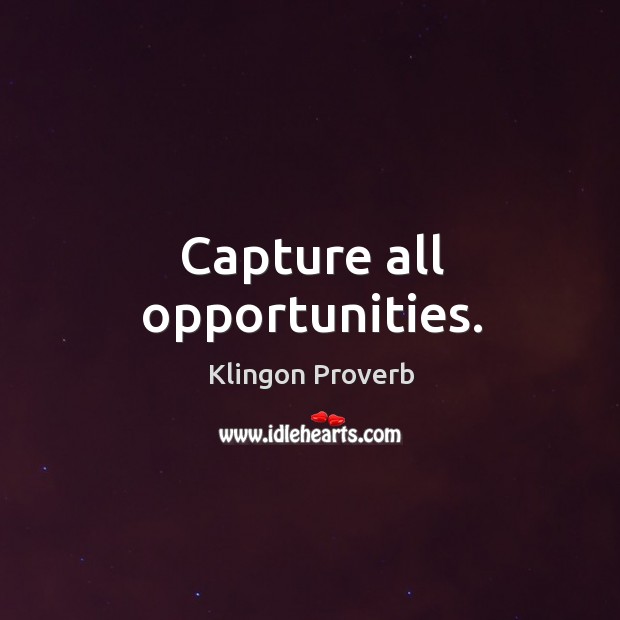 Capture all opportunities. Klingon Proverbs Image