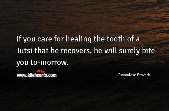 If you care for healing the tooth of a tutsi that he recovers, he will surely bite you to-morrow. Rwandese Proverbs Image