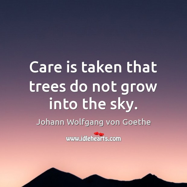 Care is taken that trees do not grow into the sky. Image