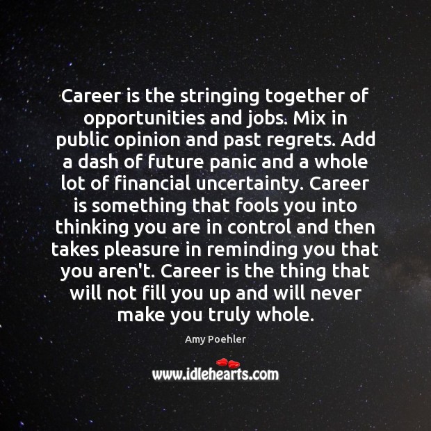 Career is the stringing together of opportunities and jobs. Mix in public Amy Poehler Picture Quote