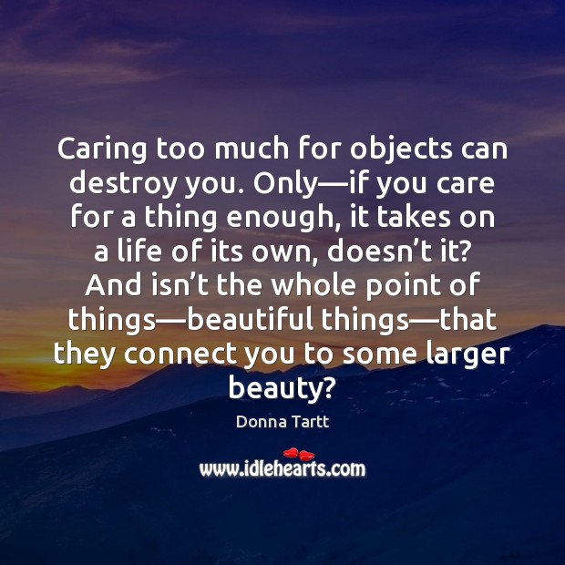 Caring too much for objects can destroy you. Only—if you care Donna Tartt Picture Quote