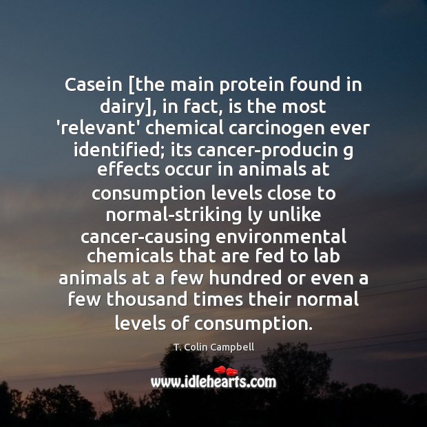 Casein [the main protein found in dairy], in fact, is the most T. Colin Campbell Picture Quote