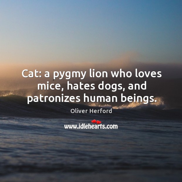Cat: a pygmy lion who loves mice, hates dogs, and patronizes human beings. Oliver Herford Picture Quote