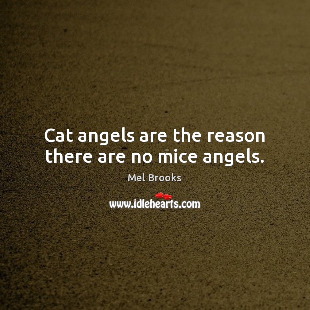 Cat angels are the reason there are no mice angels. Mel Brooks Picture Quote