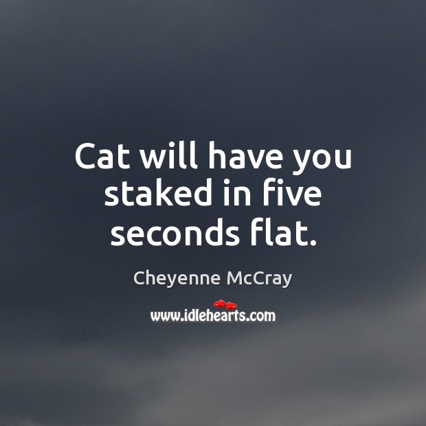 Cat will have you staked in five seconds flat. Image