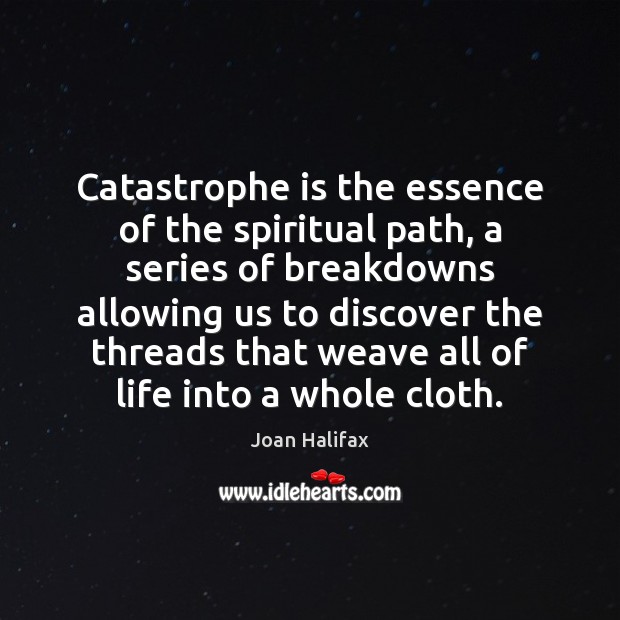 Catastrophe is the essence of the spiritual path, a series of breakdowns Joan Halifax Picture Quote