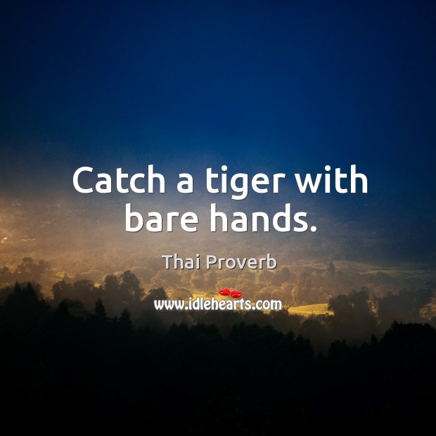 Catch a tiger with bare hands. Thai Proverbs Image