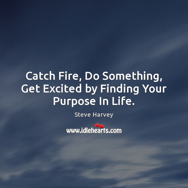 Catch Fire, Do Something, Get Excited by Finding Your Purpose In Life. Steve Harvey Picture Quote