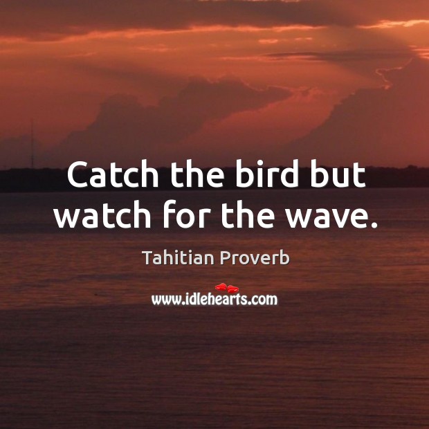 Catch the bird but watch for the wave. Tahitian Proverbs Image