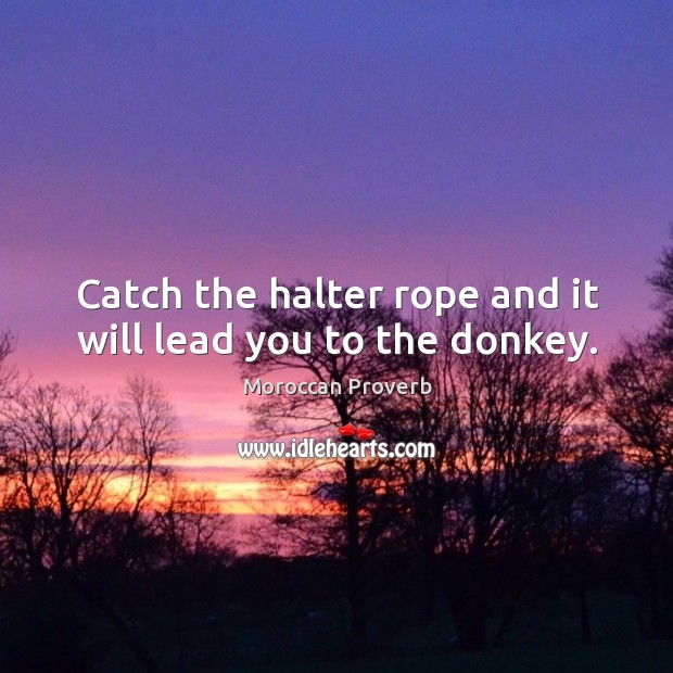 Catch the halter rope and it will lead you to the donkey. Moroccan Proverbs Image