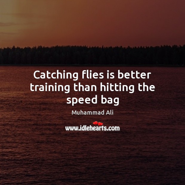 Catching flies is better training than hitting the speed bag Muhammad Ali Picture Quote