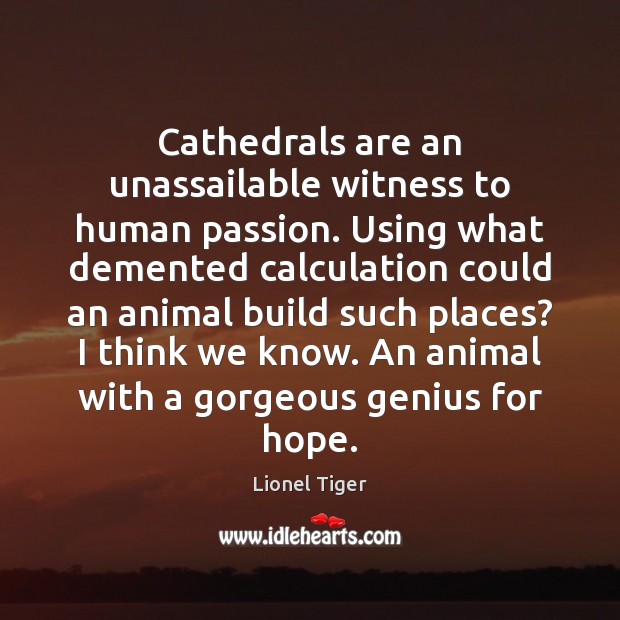 Cathedrals are an unassailable witness to human passion. Using what demented calculation Image
