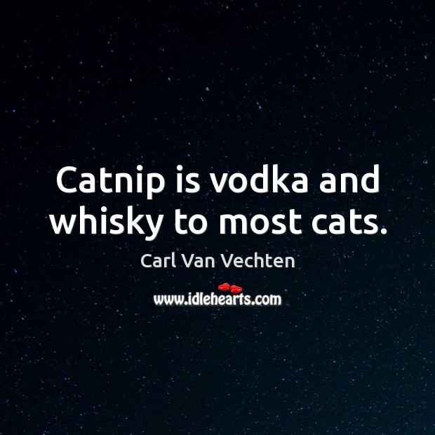 Catnip is vodka and whisky to most cats. Carl Van Vechten Picture Quote