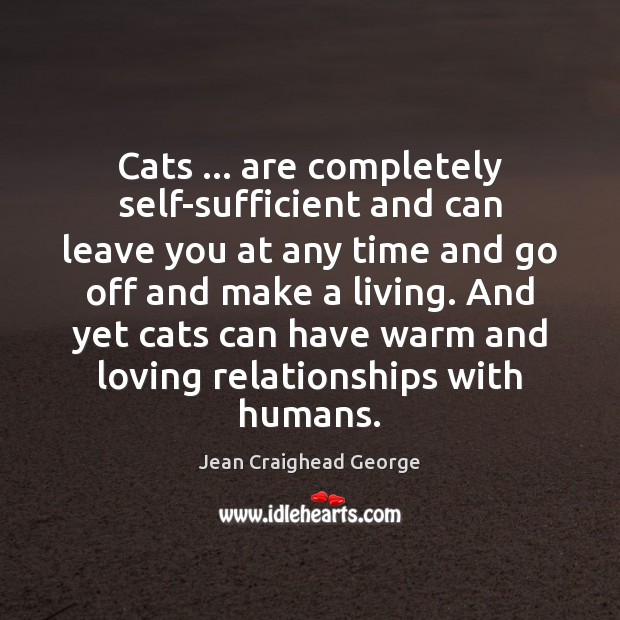 Cats … are completely self-sufficient and can leave you at any time and Image