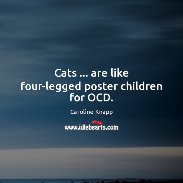 Cats … are like four-legged poster children for OCD. Caroline Knapp Picture Quote