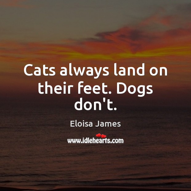 Cats always land on their feet. Dogs don’t. Eloisa James Picture Quote