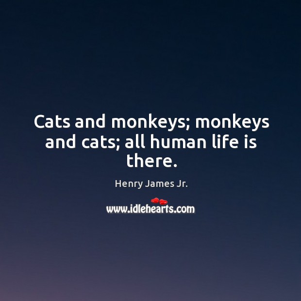 Cats and monkeys; monkeys and cats; all human life is there. Image