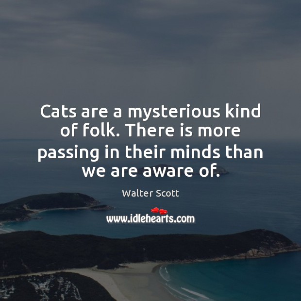 Cats are a mysterious kind of folk. There is more passing in Picture Quotes Image