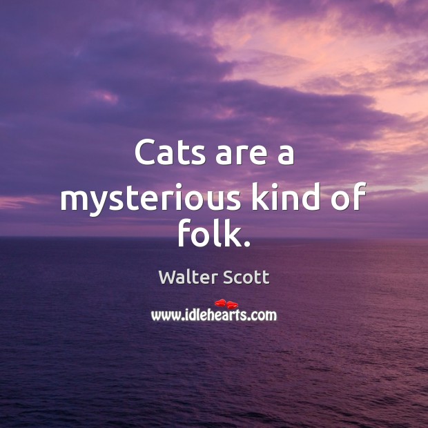 Cats are a mysterious kind of folk. Image