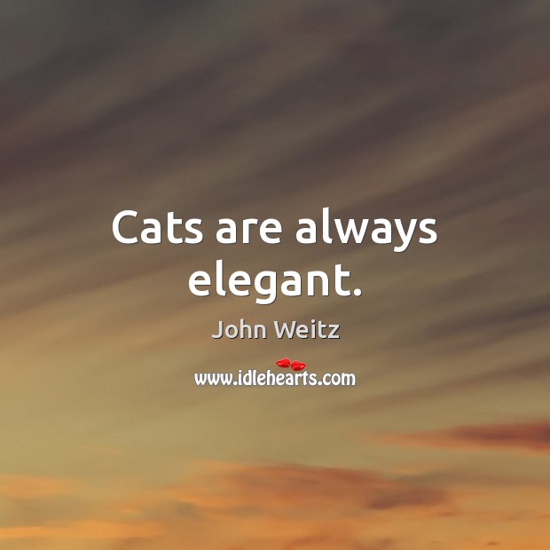 Cats are always elegant. John Weitz Picture Quote
