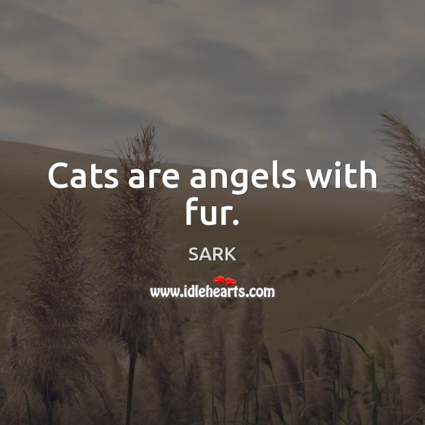 Cats are angels with fur. SARK Picture Quote