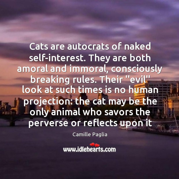 Cats are autocrats of naked self-interest. They are both amoral and immoral, Camille Paglia Picture Quote