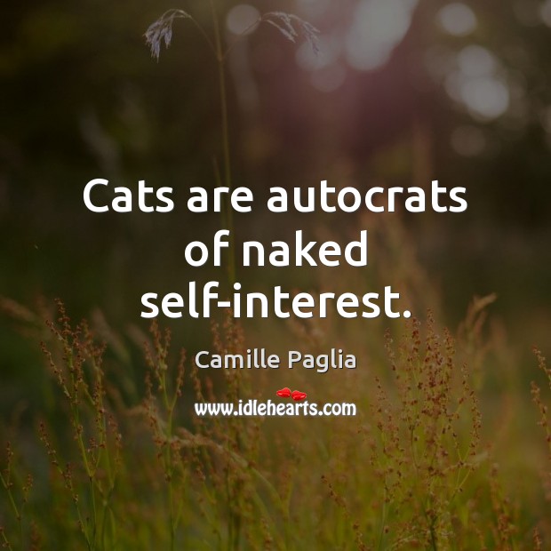 Cats are autocrats of naked self-interest. Camille Paglia Picture Quote