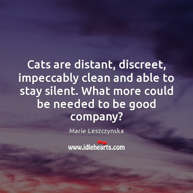 Cats are distant, discreet, impeccably clean and able to stay silent. What Image