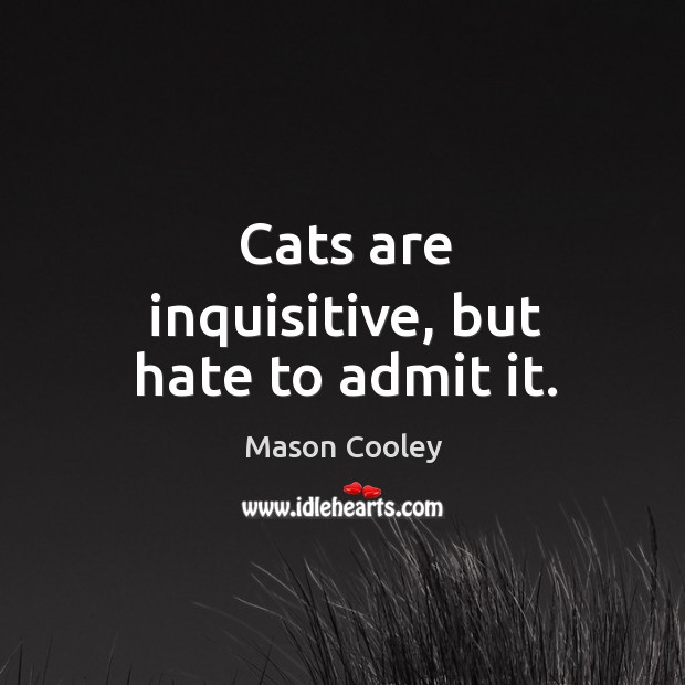 Cats are inquisitive, but hate to admit it. Mason Cooley Picture Quote