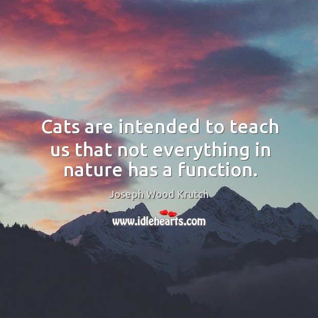 Cats are intended to teach us that not everything in nature has a function. Joseph Wood Krutch Picture Quote