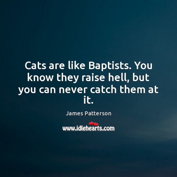 Cats are like Baptists. You know they raise hell, but you can never catch them at it. James Patterson Picture Quote
