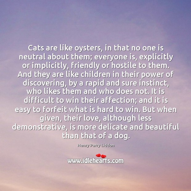Cats are like oysters, in that no one is neutral about them; Image