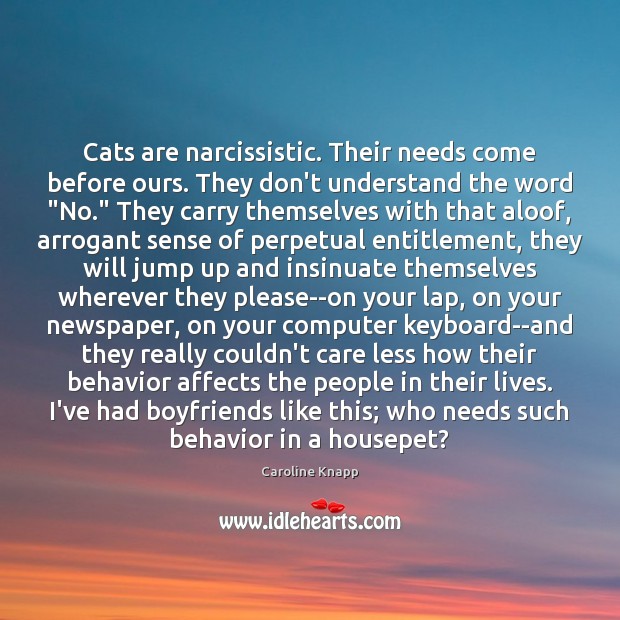 Cats are narcissistic. Their needs come before ours. They don’t understand the Caroline Knapp Picture Quote