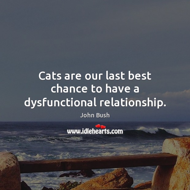 Cats are our last best chance to have a dysfunctional relationship. John Bush Picture Quote