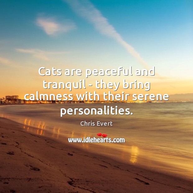 Cats are peaceful and tranquil – they bring calmness with their serene personalities. Chris Evert Picture Quote