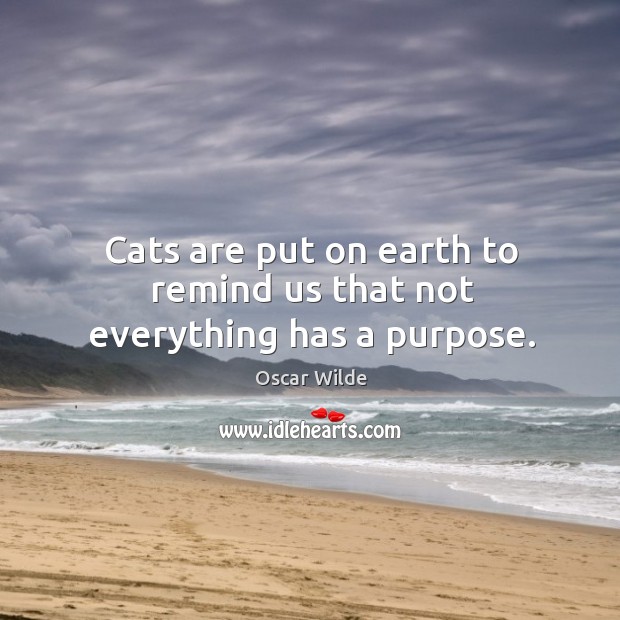 Cats are put on earth to remind us that not everything has a purpose. Image