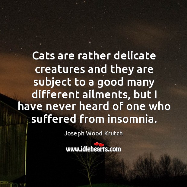 Cats are rather delicate creatures and they are subject to a good many different ailments Joseph Wood Krutch Picture Quote