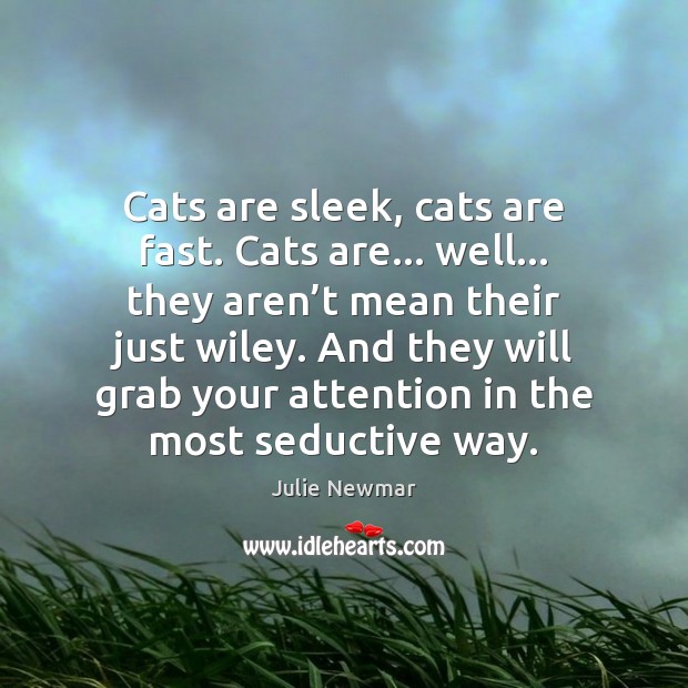 Cats are sleek, cats are fast. Cats are… well… they aren’t Julie Newmar Picture Quote