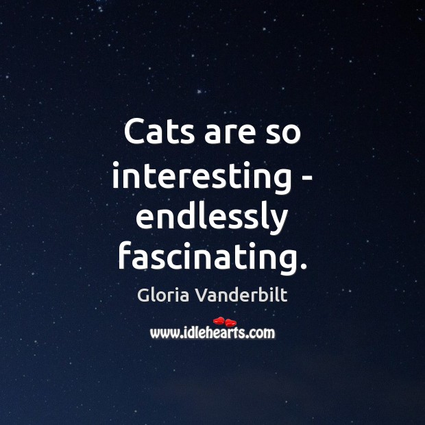 Cats are so interesting – endlessly fascinating. Gloria Vanderbilt Picture Quote