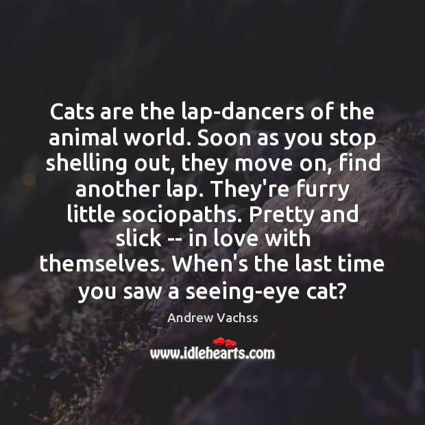 Cats are the lap-dancers of the animal world. Soon as you stop Andrew Vachss Picture Quote