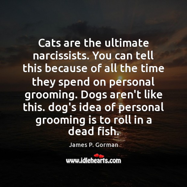 Cats are the ultimate narcissists. You can tell this because of all James P. Gorman Picture Quote