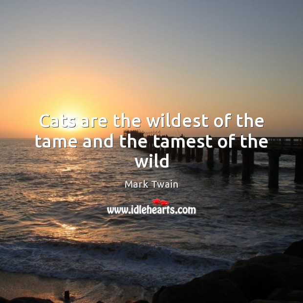 Cats are the wildest of the tame and the tamest of the wild Mark Twain Picture Quote