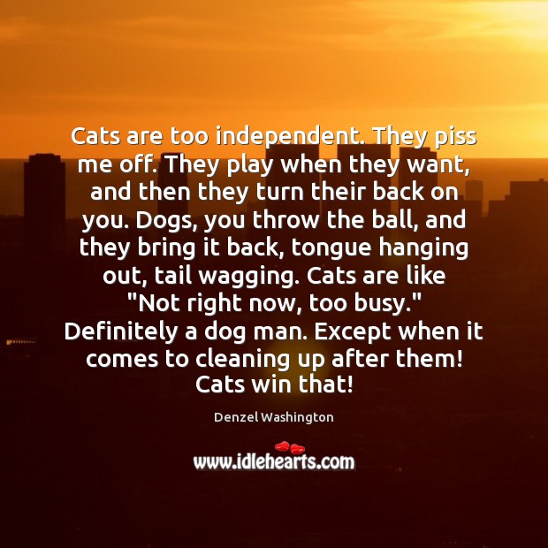 Cats are too independent. They piss me off. They play when they Denzel Washington Picture Quote