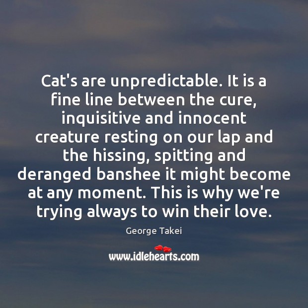 Cat’s are unpredictable. It is a fine line between the cure, inquisitive George Takei Picture Quote