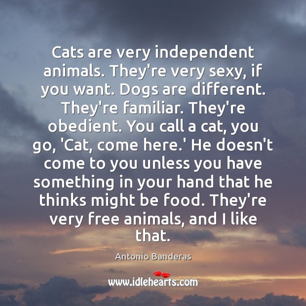 Cats are very independent animals. They’re very sexy, if you want. Dogs Food Quotes Image