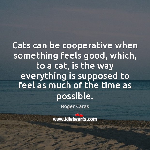Cats can be cooperative when something feels good, which, to a cat, Roger Caras Picture Quote